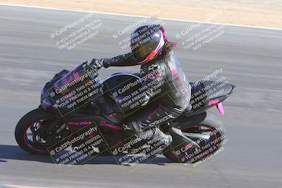 media/Nov-11-2023-SoCal Trackdays (Sat) [[efd63766ff]]/Turn 10 Inside (120pm)/